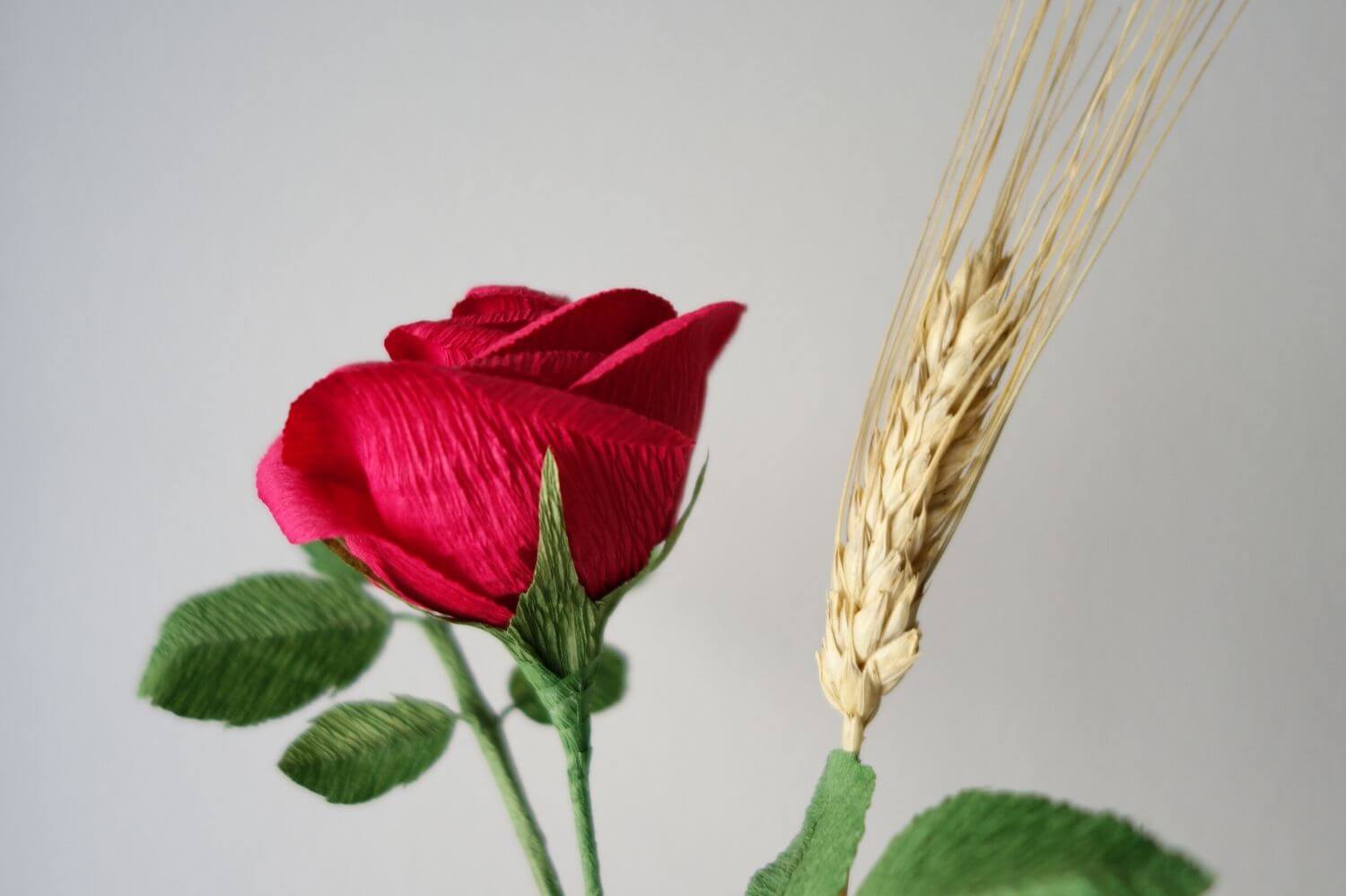 rosa sant jordi papel