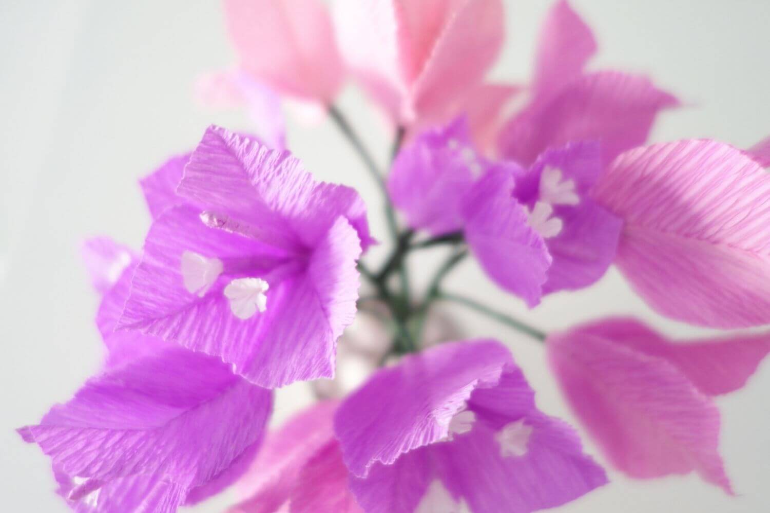 flores de papel buganvillas